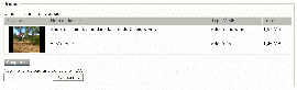 Edit Interface